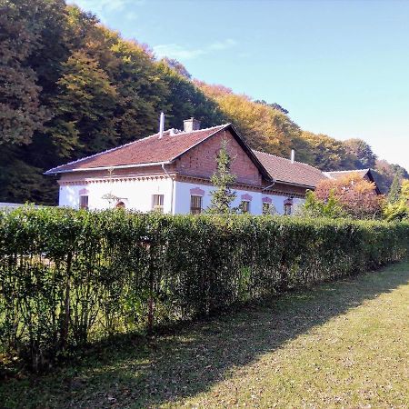 Parva Foresta Apartman Miskolc Kültér fotó