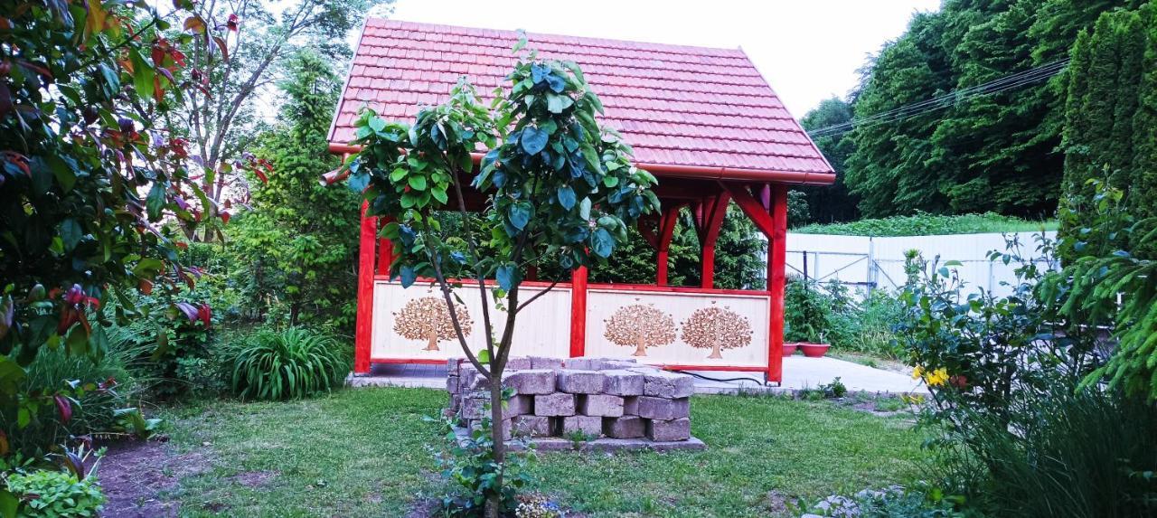 Parva Foresta Apartman Miskolc Kültér fotó